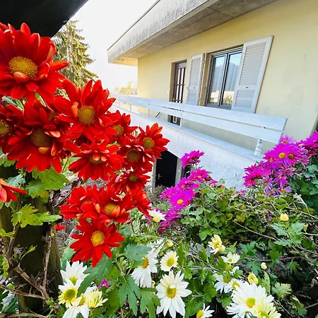 Apartament Jasmina